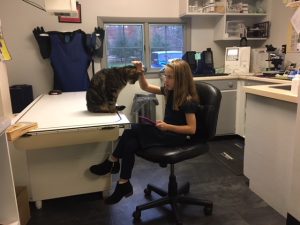 The Boardmans’ cat Lucy helps train future veterinarian Kalyn